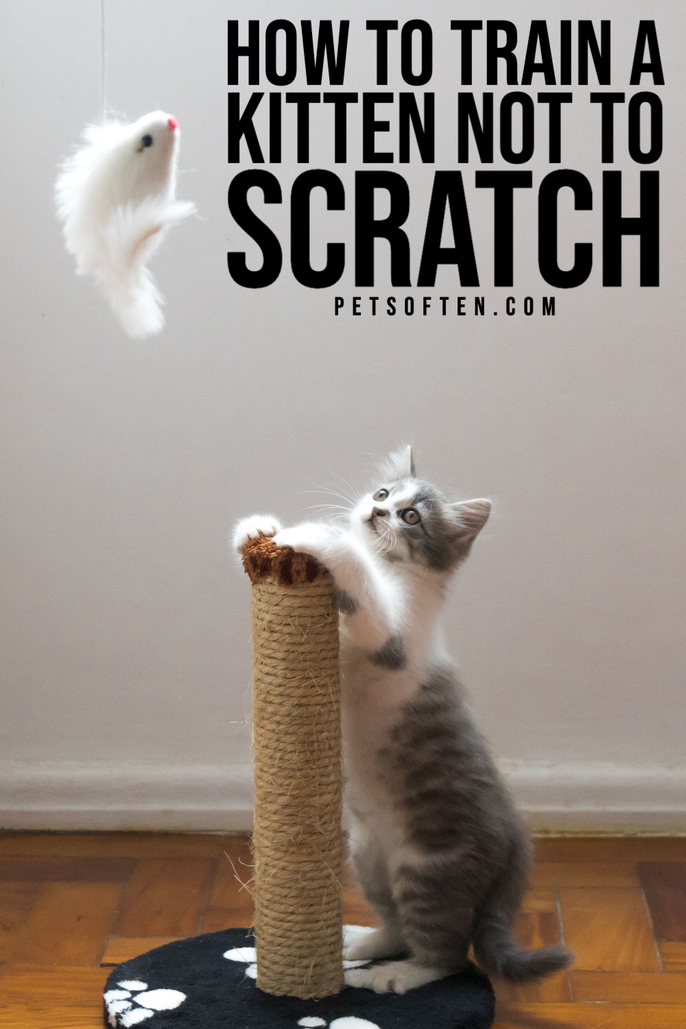 How to Train a Kitten Not to Scratch