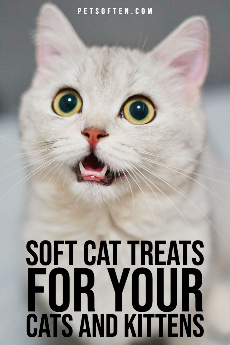 Soft Cat Treats for Your Cats and Kittens